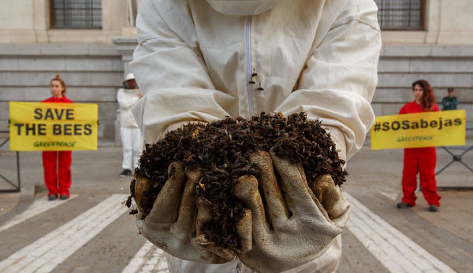 Filtración: los gobiernos europeos ceden a la presión de la industria y allanan el camino a los plaguicidas que matan a las abejas