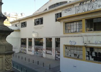 IU Sevilla critica la privatización de la plaza anexa al antiguo Mercado de la Carne y pide que no se talen los once árboles previstos por la obra