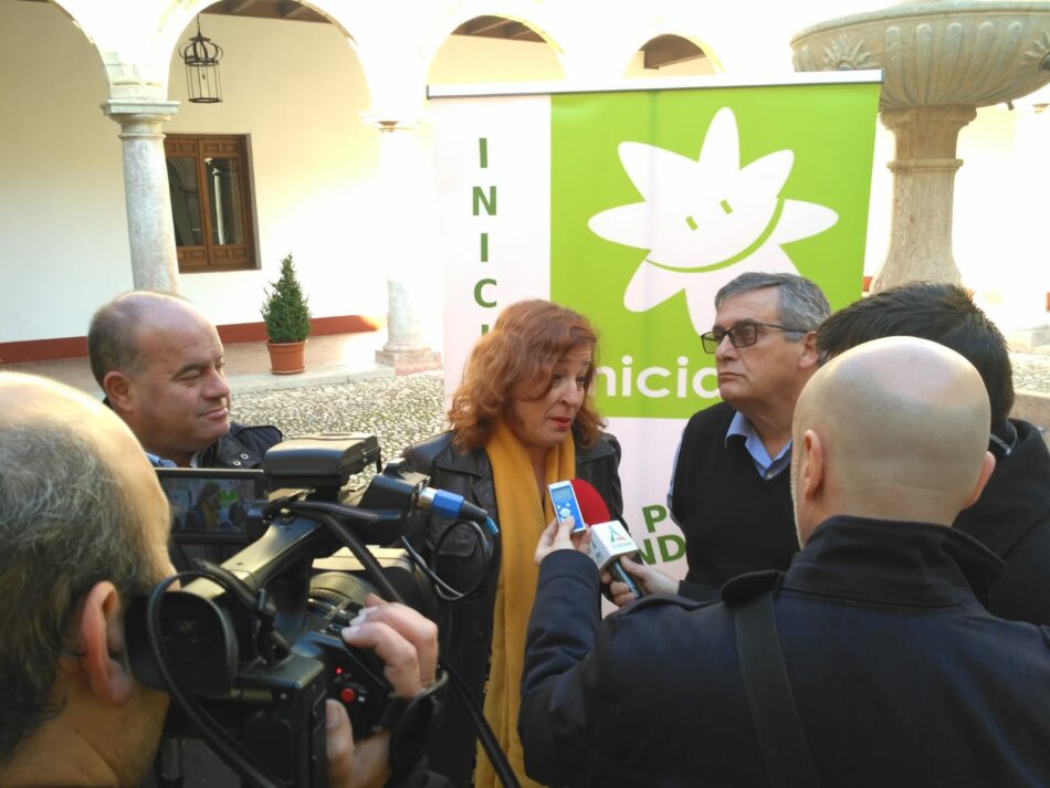 Iniciativa del Pueblo Andaluz celebra su segunda asamblea