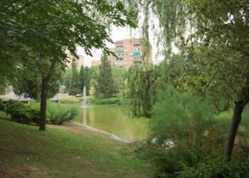 La construcción del mayor parque comercial de Madrid amenaza la supervivencia del Bosque del Humedal y el bienestar de la vecindad de Coslada