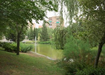 La construcción del mayor parque comercial de Madrid amenaza la supervivencia del Bosque del Humedal y el bienestar de la vecindad de Coslada