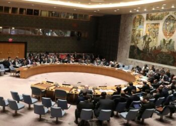 Miembros del Consejo de Seguridad de la ONU condenan una intervención militar en Venezuela