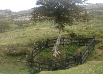 Se presentó desde Asturias una nueva denuncia en la Querella Argentina que pide la exhumación del Pozu Funeres