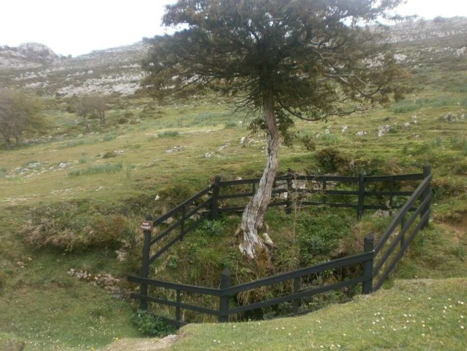 Se presentó desde Asturias una nueva denuncia en la Querella Argentina que pide la exhumación del Pozu Funeres