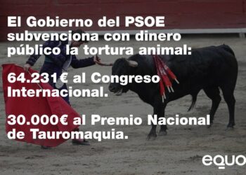 El Gobierno Sánchez justifica con una ley del PP que se siga subvencionando la tauromaquia con dinero público