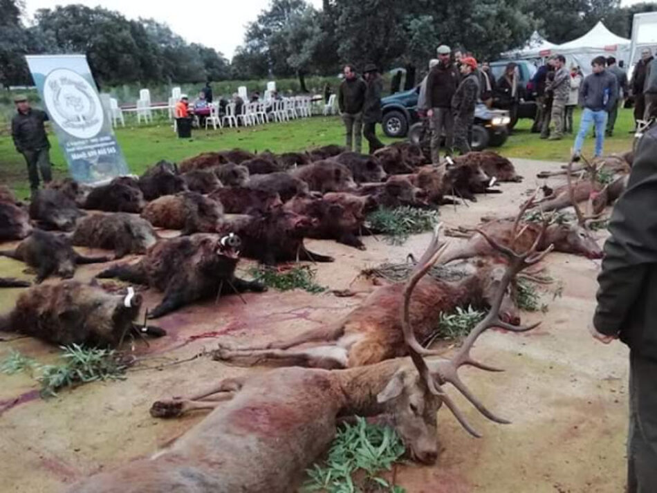 Alarma ante la decisión de  la Junta de Extremadura de apoyar con dinero público la presencia de cazadores en los colegios para dar nociones de educación ambiental