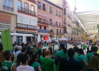 Marea Verde denuncia la deriva neoliberal de la política educativa del gobierno andaluz tripartito y su apuesta por la enseñanza privada- concertada