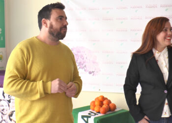 Podemos pide al Gobierno defender la producción de las naranjas de Andalucía frente a la importación sudafricana