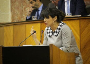 Teresa Rodríguez renuncia a cobrar complementos salariales durante su baja por maternidad