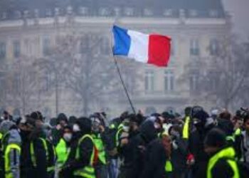Francia insurrecta: Yéndose por las ramas