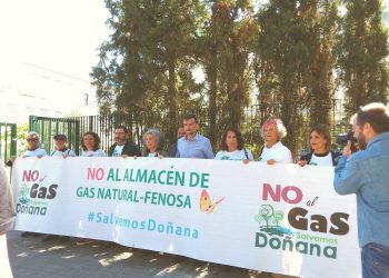 Salvemos Doñana confía en que el Parlamento Europeo recomiende al Estado la cancelación definitiva del proyecto Marismas
