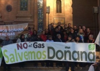 Salvemos Doñana considera la decisión el Parlamento Europeo un logro de la ciudadanía en defensa del medio ambiente y frente al cambio climático
