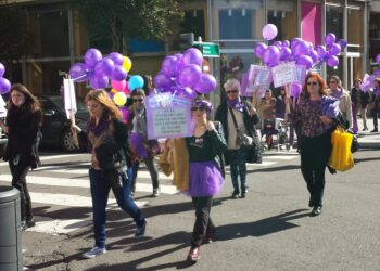 Izquierda Unida de toda la provincia de León se suma a la huelga feminista del 8 de marzo