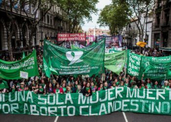 Argentina. La Campaña por el Derecho al Aborto repudió el proyecto de nuevo Código Penal