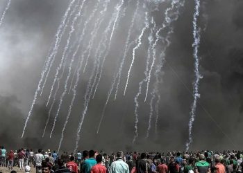 Primer aniversario Gran Marcha del Retorno – Comunicado de Rumbo a Gaza