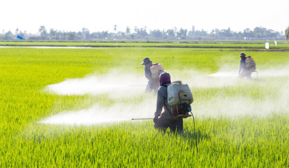 Glifosato, el pesticida que enfrenta a los científicos