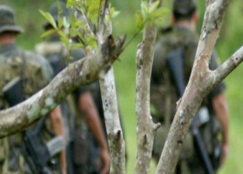 Colombia: Paramilitares están retomando el control del Bajo Atrato
