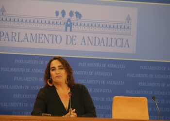 Adelante Andalucía: «PP y Cs han llegado al Gobierno andaluz para forrarse»