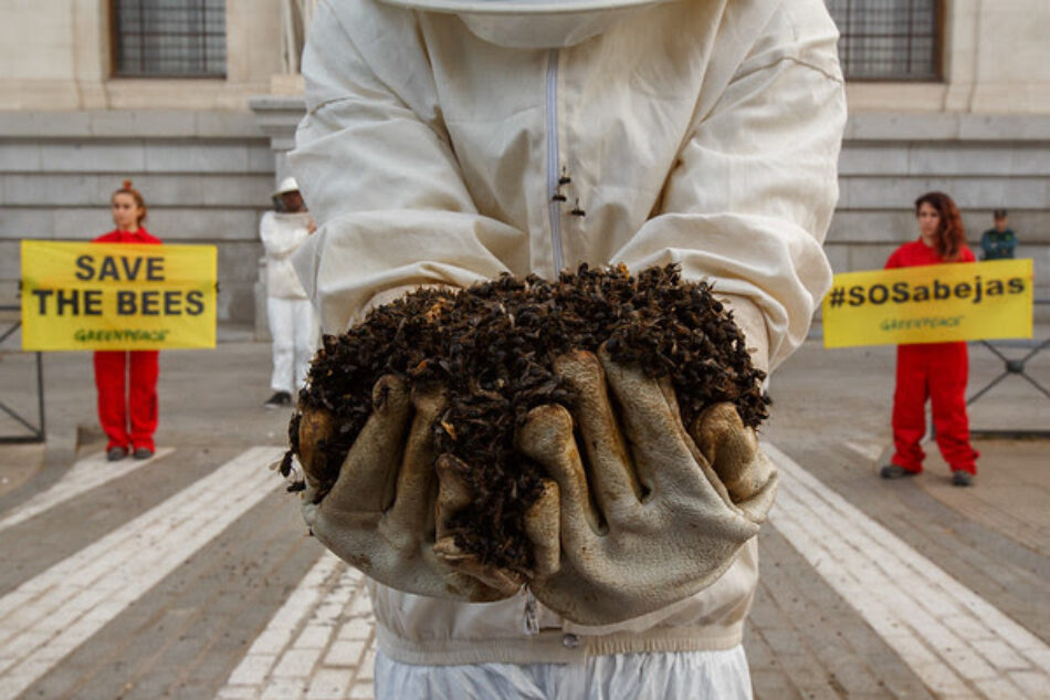 Greenpeace denuncia que el borrador del Plan de Polinizadores no contempla medidas ambiciosas para reducir el uso de los plaguicidas