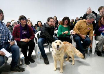 Iglesias:»Podemos convertir a este país en una referencia contra el maltrato animal»