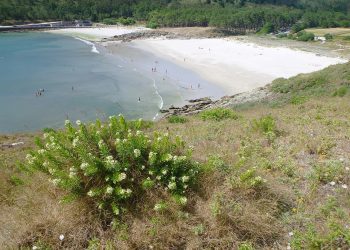 La protección de la naturaleza le gana la partida a la Fundación Eduardo Pondal y a su Festival V de Valarés