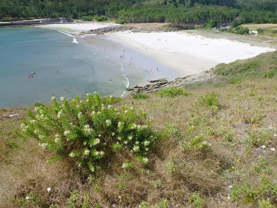 La protección de la naturaleza le gana la partida a la Fundación Eduardo Pondal y a su Festival V de Valarés