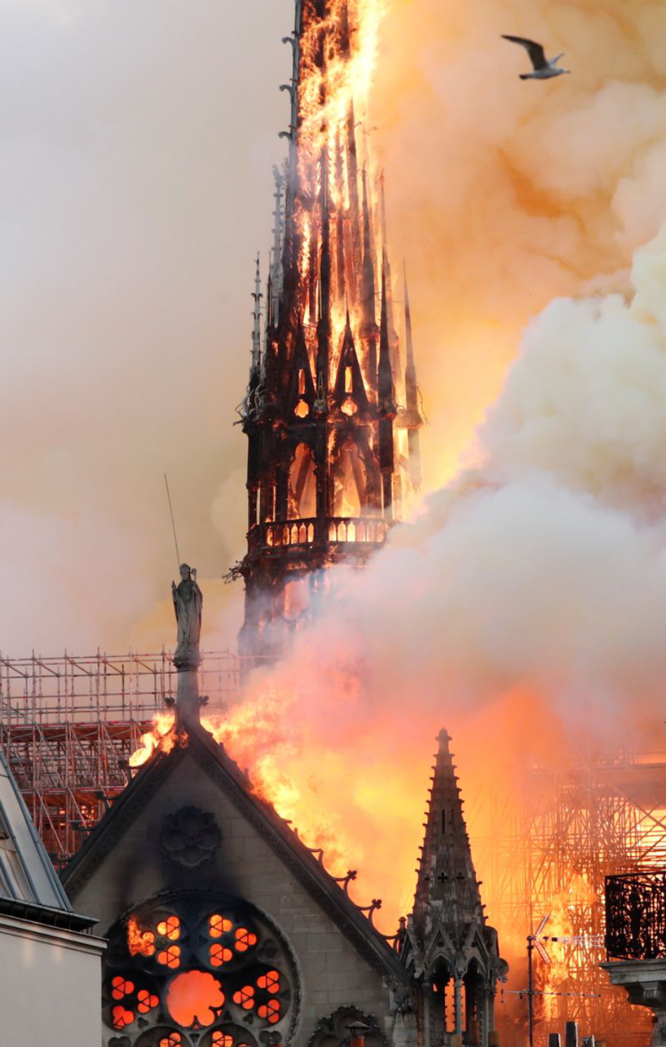 Un poema de William Ospina sobre la Catedral de Notre Dame