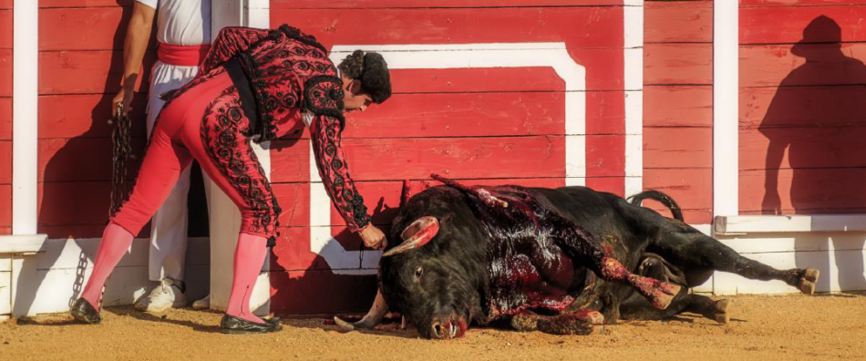 La Junta Electoral prohíbe en Aranjuez la proyección de un documental sobre el sufrimiento de los toros durante las corridas