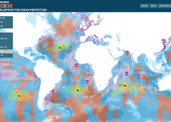 30×30: Un estudio de Greenpeace y las Universidades de York y Oxford demuestra cómo proteger un tercio de los océanos del mundo para 2030