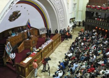 ‘La Constituyente legislará en Venezuela hasta finales de 2020’