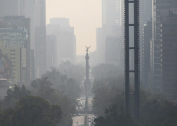 Así afecta la contaminación a la formación de los órganos en el útero