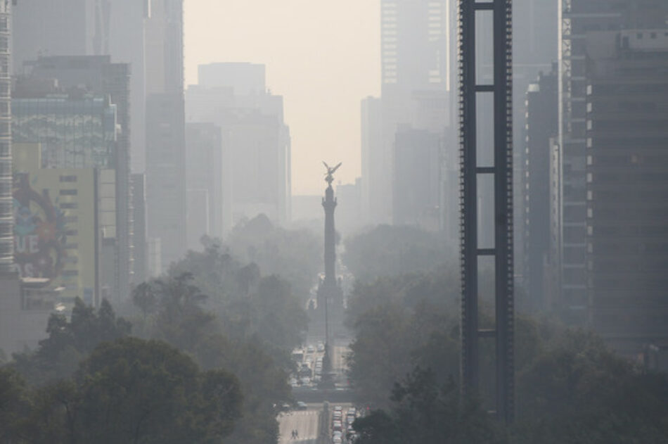 Así afecta la contaminación a la formación de los órganos en el útero