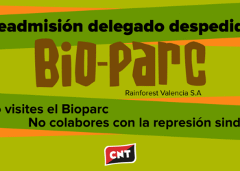CNT inicia un conflicto con Bioparc Valencia por el despido del delegado de la sección sindical