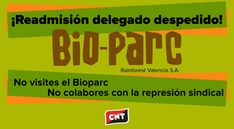 CNT inicia un conflicto con Bioparc Valencia por el despido del delegado de la sección sindical