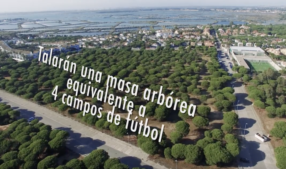 López de Uralde solicita paralizar la construcción de 206 viviendas en un pinar en Costa Sancti Petri