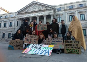 Un grupo de jóvenes pasaron la noche frente al Congreso en apoyo al grupo internacional de Fridays for Future