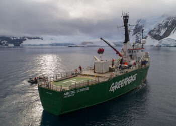 Concierto del cantante Macaco a bordo del rompehielos ‘Arctic Sunrise’ de Greenpeace en Bilbao