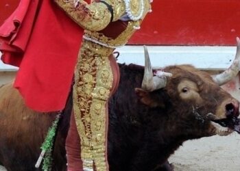 El ocaso de los festejos populares taurinos y la Tauromaquia