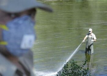 Organizaciones ecologistas reclaman medidas preventivas para evitar el uso de insecticidas