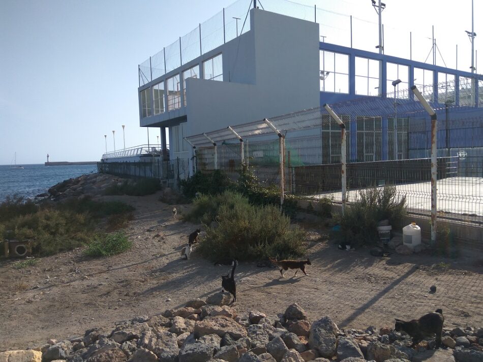 Equo Verdes Almería apoya una ciudad amable para las personas y los animales