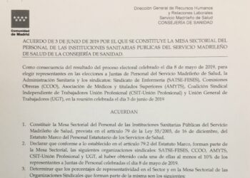 SATSE estudia impugnar la Mesa Sectorial de Sanidad