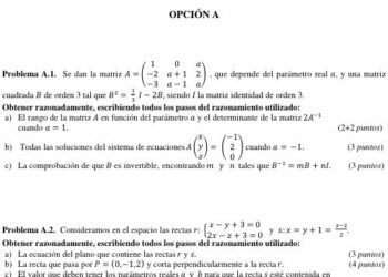 Concentración de estudiantes y profesores «¡Por la retirada del examen de Matemáticas II de la calificación general de la Selectividad!»