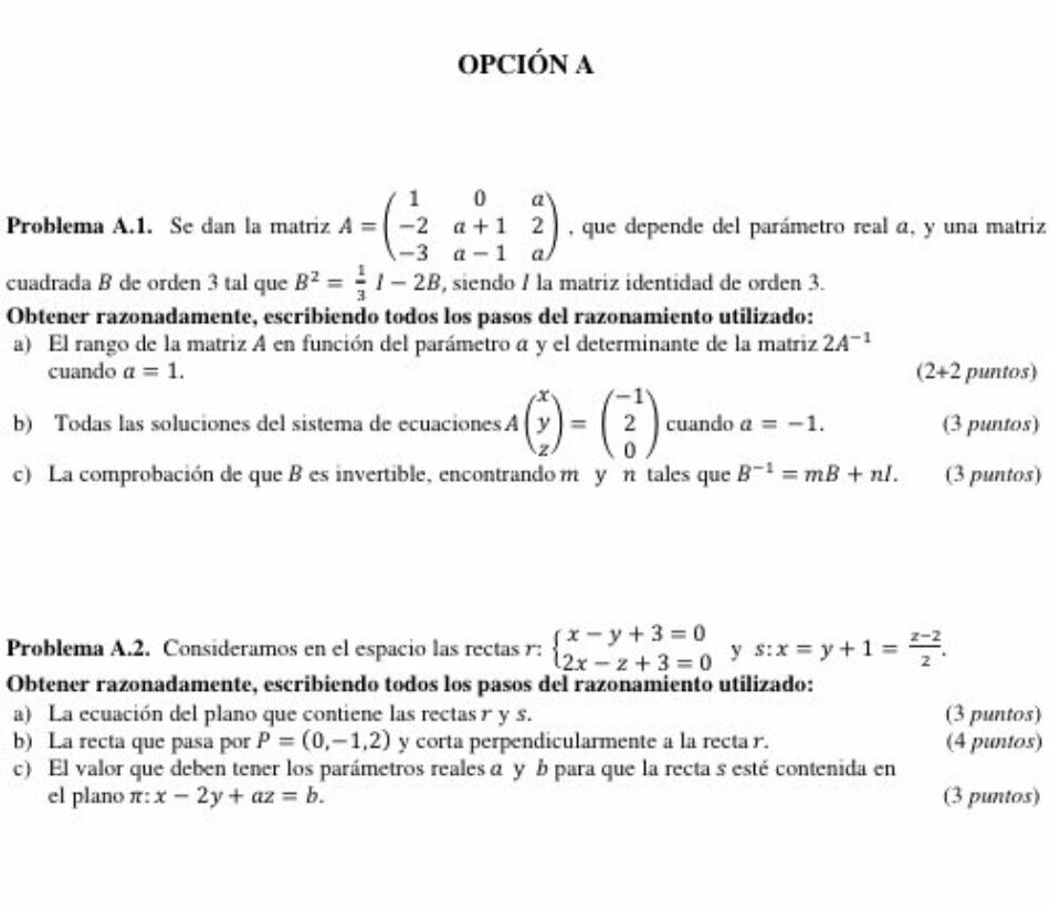 Concentración de estudiantes y profesores «¡Por la retirada del examen de Matemáticas II de la calificación general de la Selectividad!»