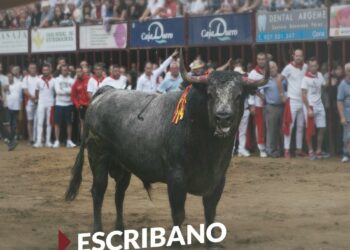 PACMA documenta las últimas horas de Escribano, el Toro de Coria, abatido de un disparo a quemarropa