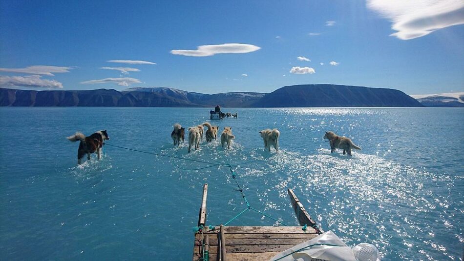 Groenlandia experimenta un enorme e inusual derretimiento: pierde dos mil millones de toneladas de hielo en un solo día