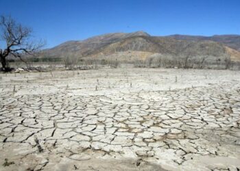 La Universidad Complutense de Madrid declara la emergencia climática