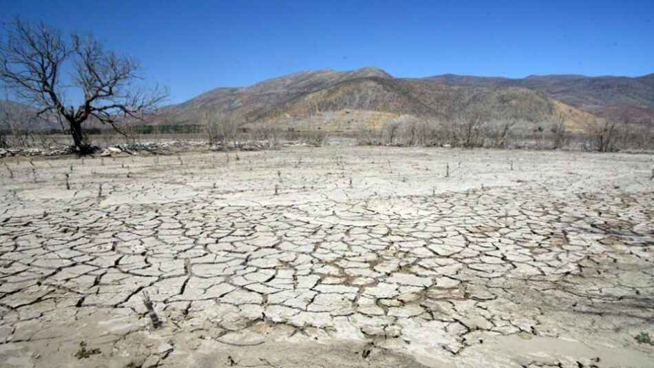 La Universidad Complutense de Madrid declara la emergencia climática