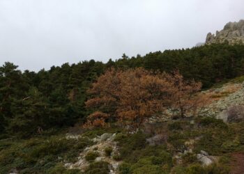 Un millar de corredores pisoteando las zonas más sensibles del Parque Nacional en plena ola de calor