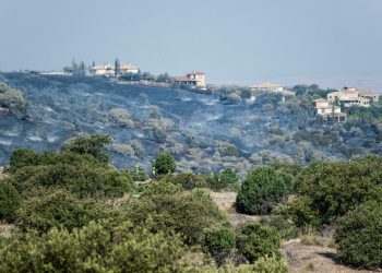 La ola de calor se salda con más de 10.000 hectáreas quemadas