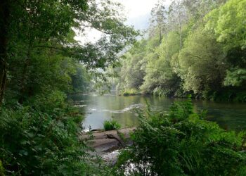 O ambientalismo galego clama contra a nova Lei de Patrimonio Natural do PP